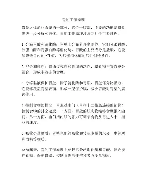 胃的工作原理