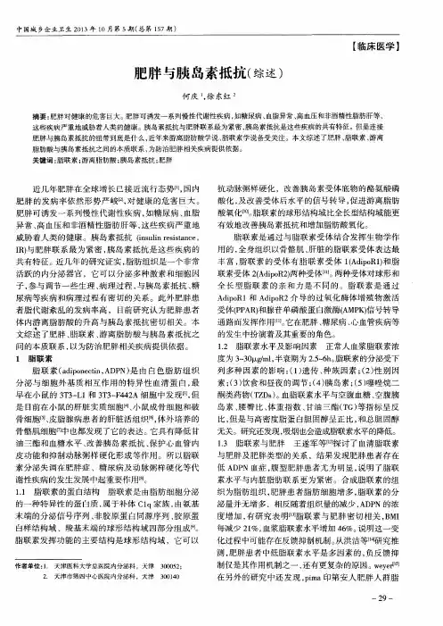 肥胖与胰岛素抵抗(综述)