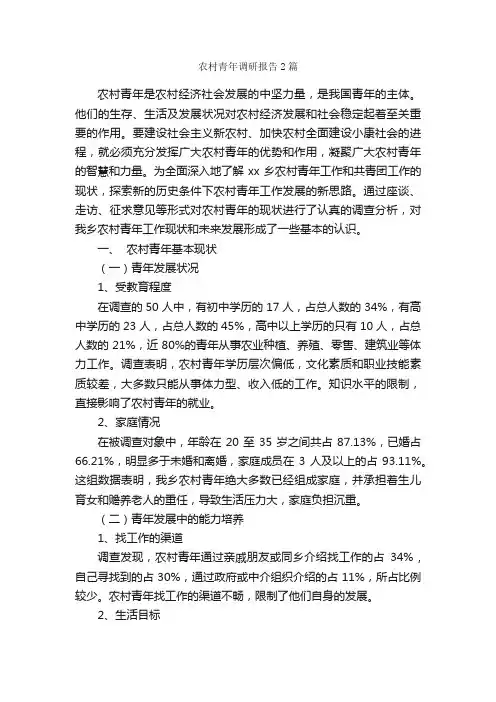 农村青年调研报告2篇_调研报告_