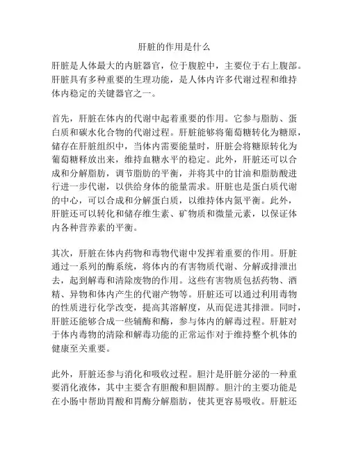 肝脏的作用是什么