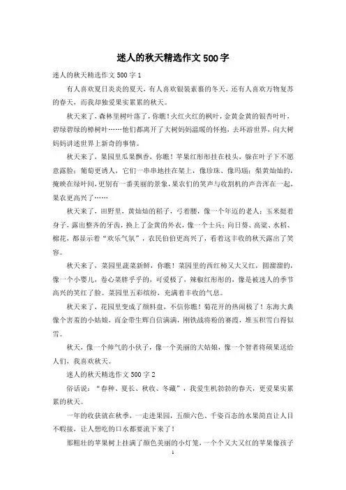 迷人的秋天精选作文500字