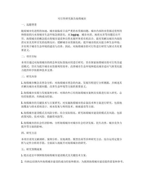 可行性研究报告海绵城市