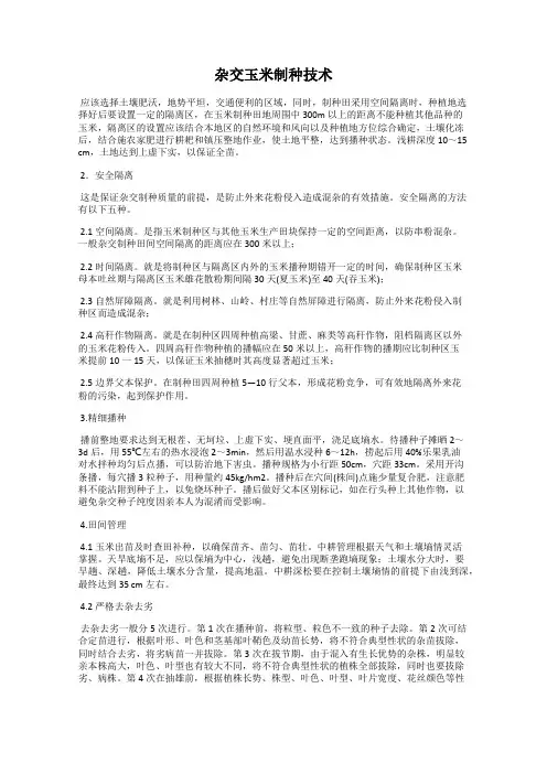 杂交玉米制种技术
