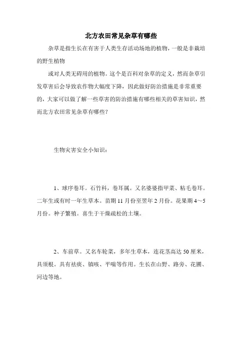 北方农田常见杂草有哪些