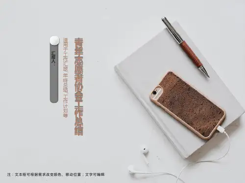 PPT 青年志愿者协会工作总结