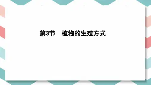 北师大版生物学八年级上册19.3-植物的生殖方式