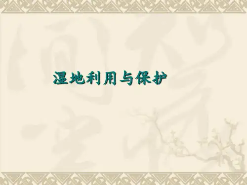 高考地理复习-湿地利用与保护PPT-完美课件