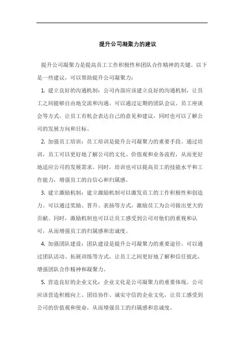 提升公司凝聚力的建议