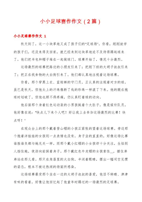 小小足球赛作作文(2篇)