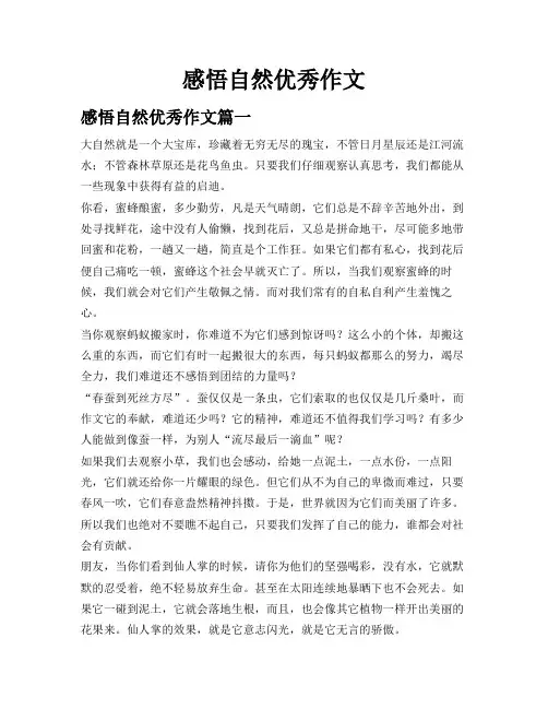 感悟自然优秀作文