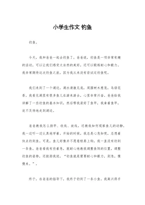 小学生作文 钓鱼