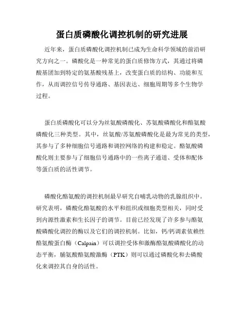 蛋白质磷酸化调控机制的研究进展