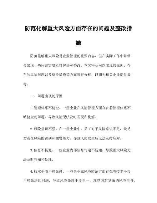 防范化解重大风险方面存在的问题及整改措施