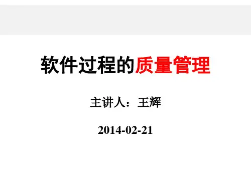 软件过程的质量管理