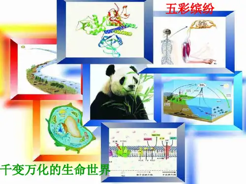沪科版生物高中第一册1.1《走进生命科学的世纪》 课件 (共60张PPT)