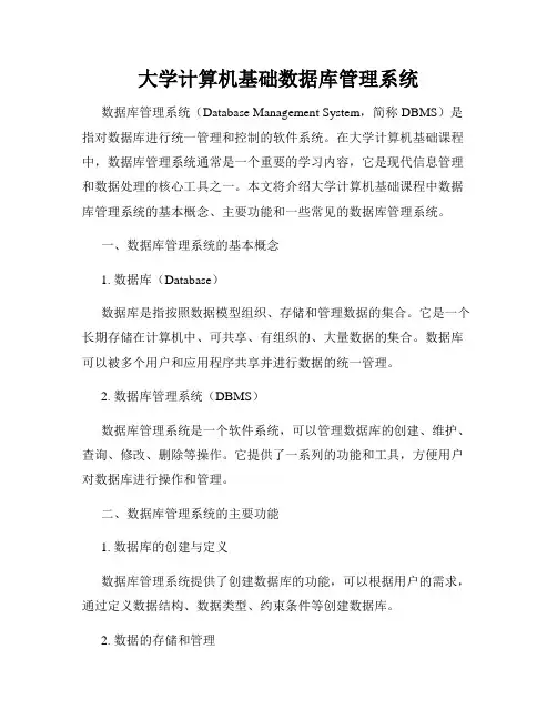 大学计算机基础数据库管理系统