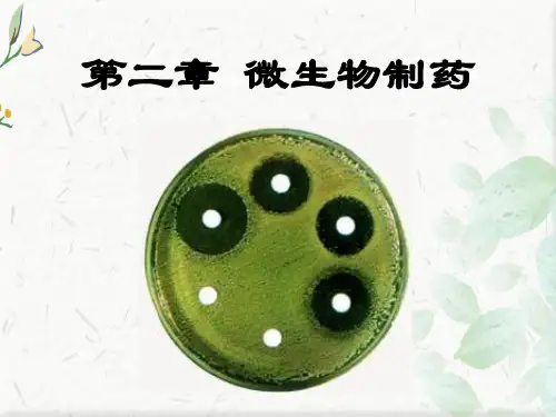 3.4.2微生物制药ppt课件