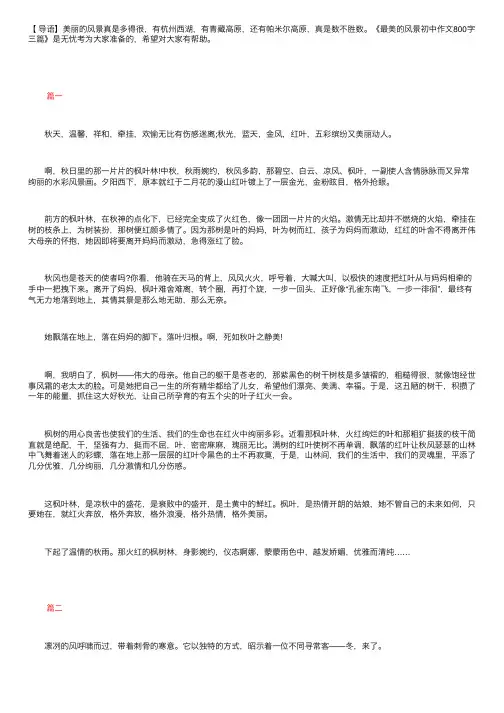 最美的风景初中作文800字三篇