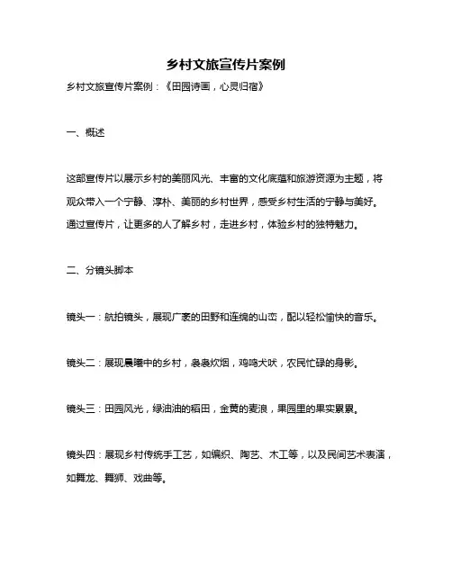 乡村文旅宣传片案例