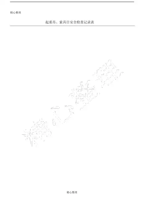 吊索具检查表格模板.doc