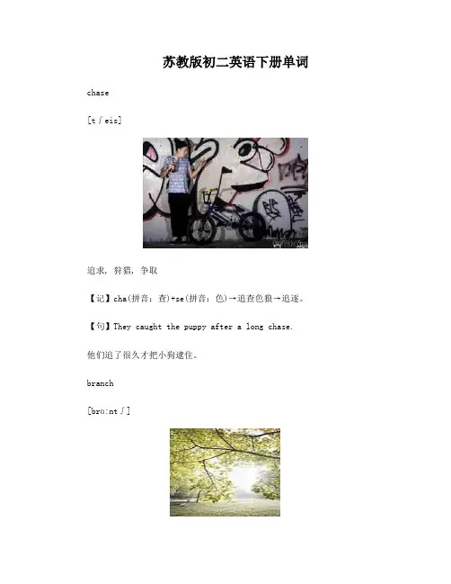 苏教版初二英语下册