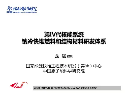 第IV代核能系统钠冷快堆燃料和结构材料研发体系