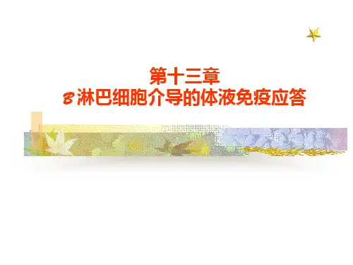 医学免疫学课件 13 体液免疫应答