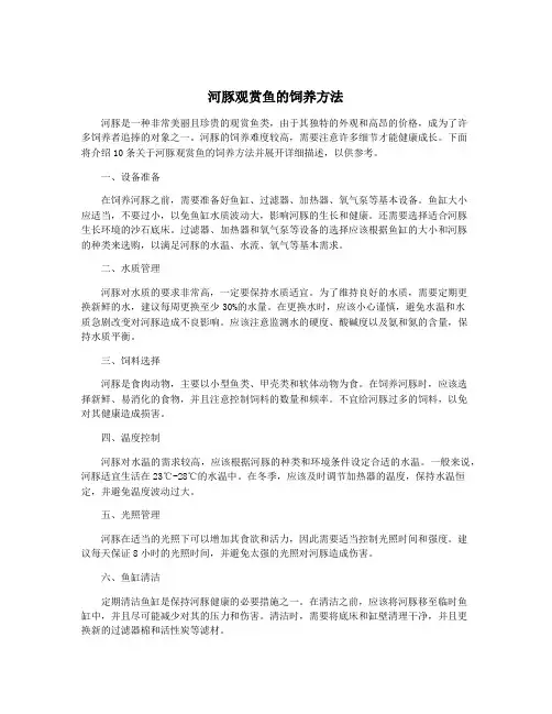 河豚观赏鱼的饲养方法