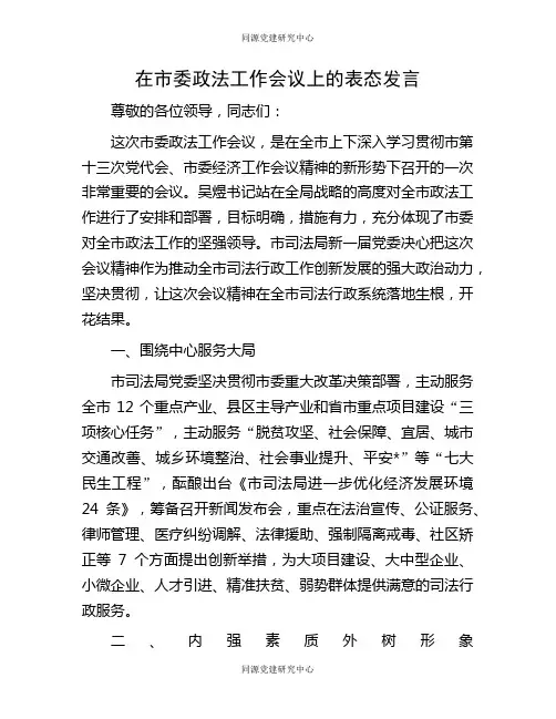 在市委政法工作会议上的表态发言
