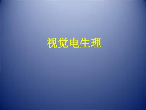 视网膜电图