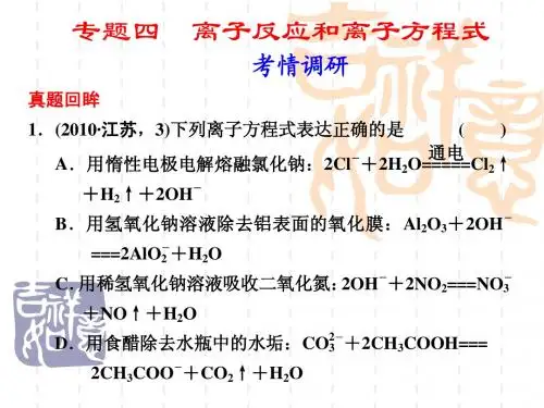 高考化学二轮复习离子反应和离子方程式