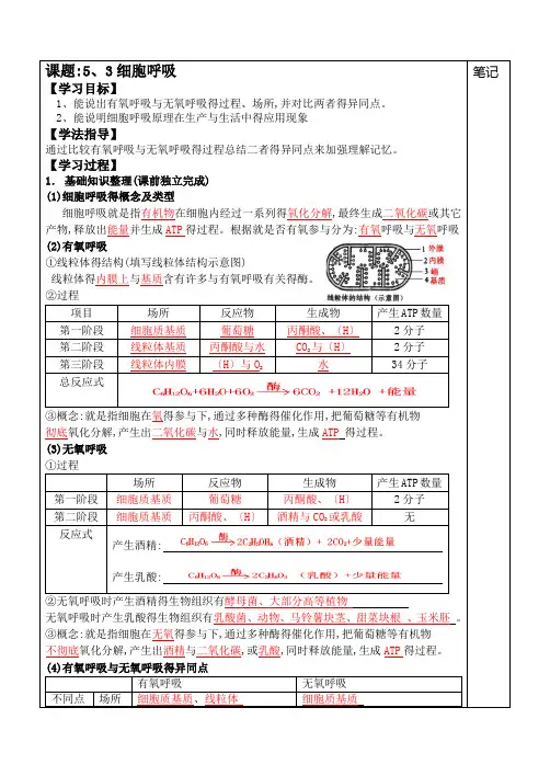 细胞呼吸导学案及答案