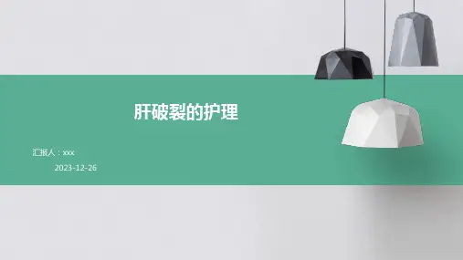 肝破裂的护理PPT课件