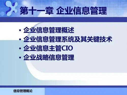 信息管理概论课件_第11章-PPT精选文档