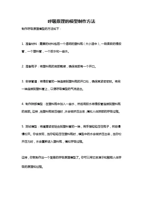 呼吸原理的模型制作方法