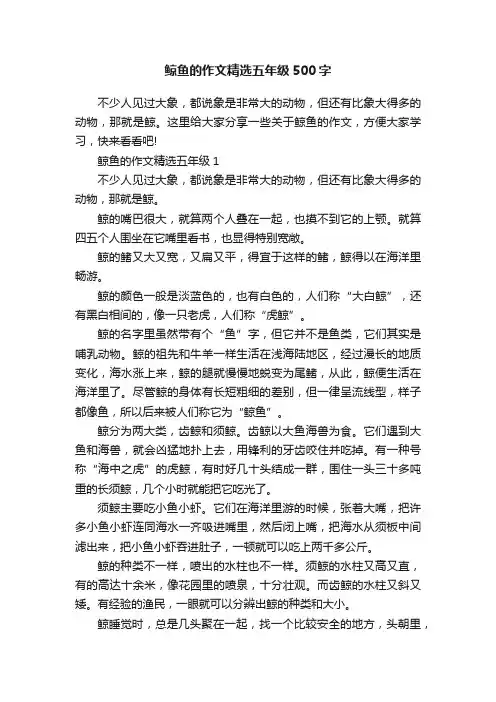 鲸鱼的作文精选五年级500字