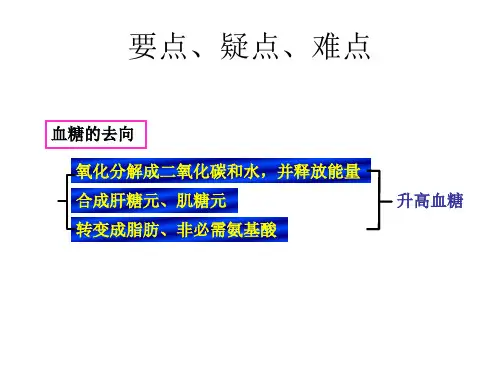 高二生物血糖的调节