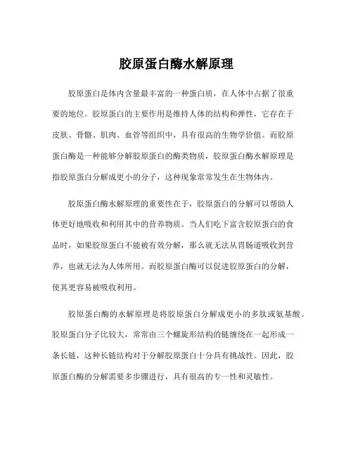 胶原蛋白酶水解原理