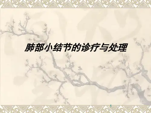 肺部小结节的诊疗与处理精讲课件