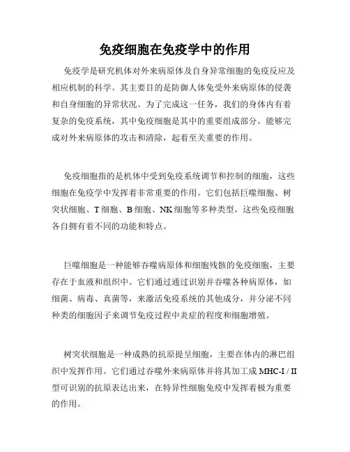 免疫细胞在免疫学中的作用