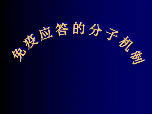 免疫应答的分子机制