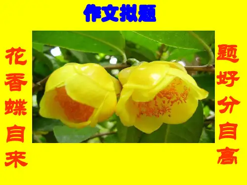 高考作文拟题训练