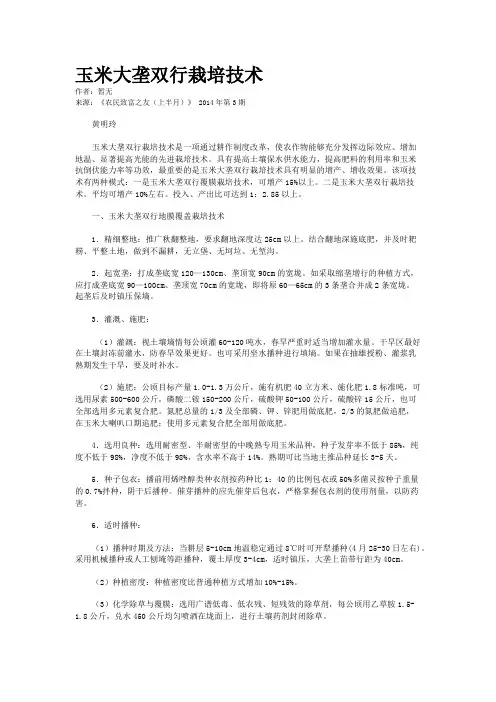 玉米大垄双行栽培技术