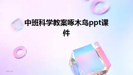 中班科学教案啄木鸟ppt课件