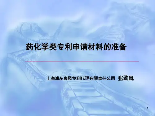 药化学类专利申请材料的准备演示课件