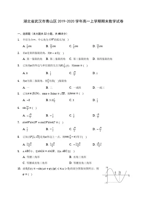 湖北省武汉市青山区2019-2020学年高一上学期期末数学试卷 (有解析)