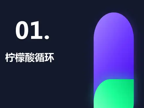 生物化学柠檬酸循环