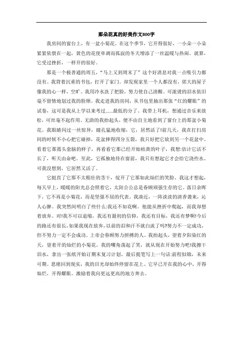 那朵花真的好美作文800字