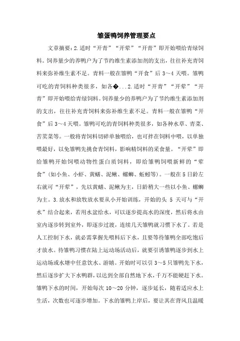 雏蛋鸭饲养管理要点