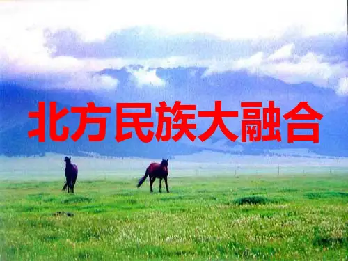 第17课北方民族大融合PPT课件